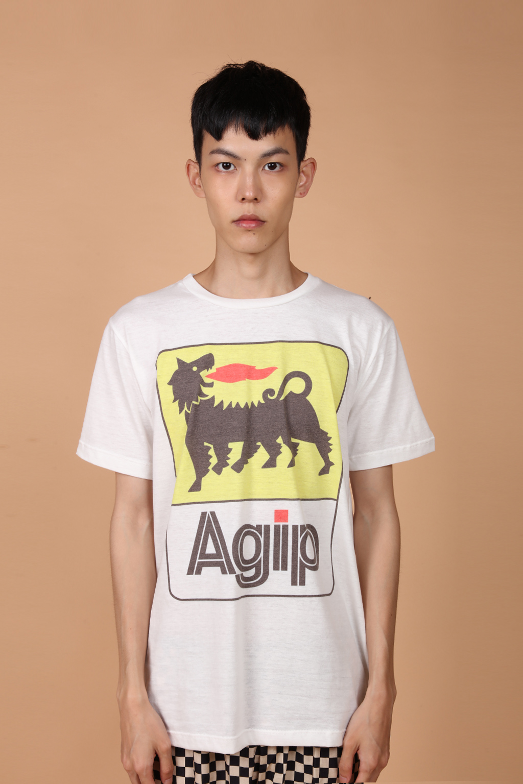 Camiseta estampada AGIP