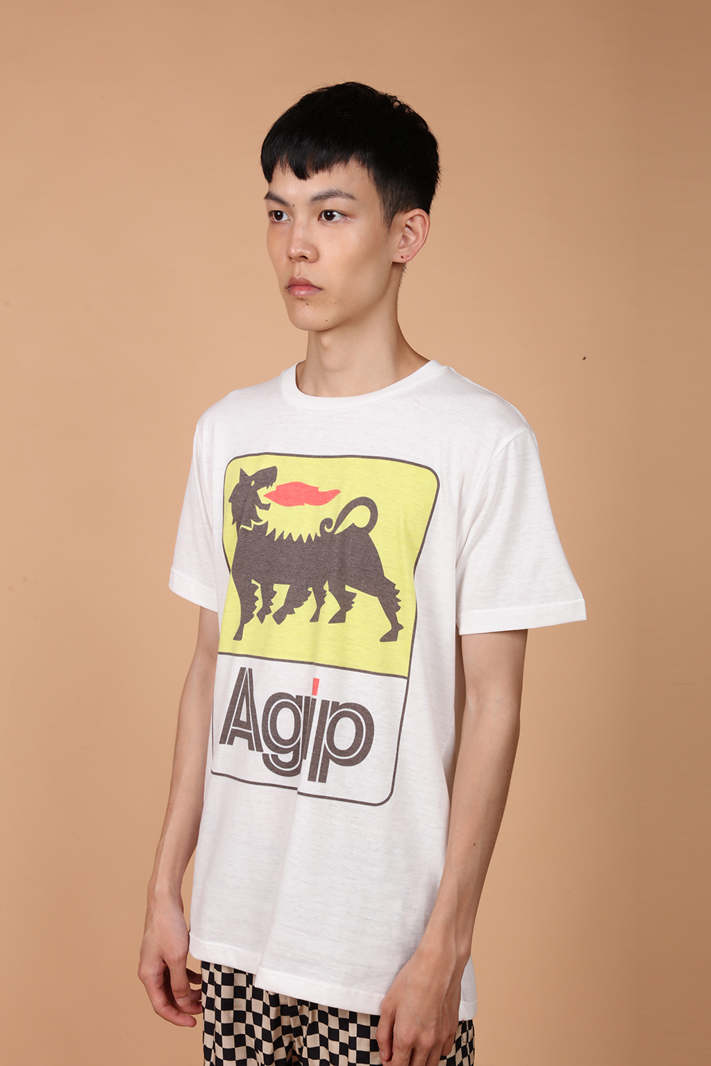 Camiseta estampada AGIP