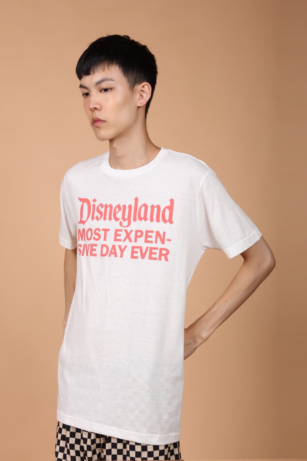 Camiseta estampada Disneyland