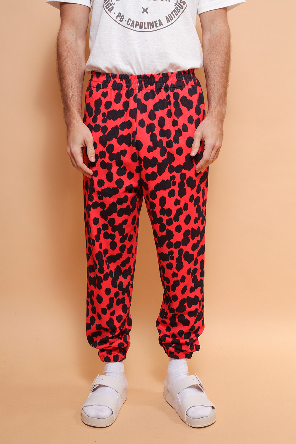 Calça jogger moletom estampada Onça