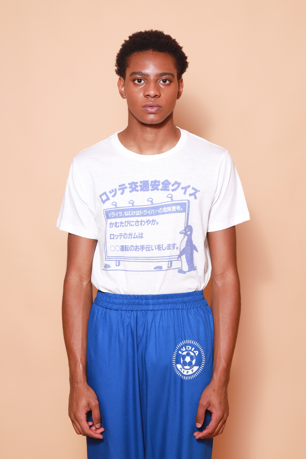 Camiseta estampada Pinguim