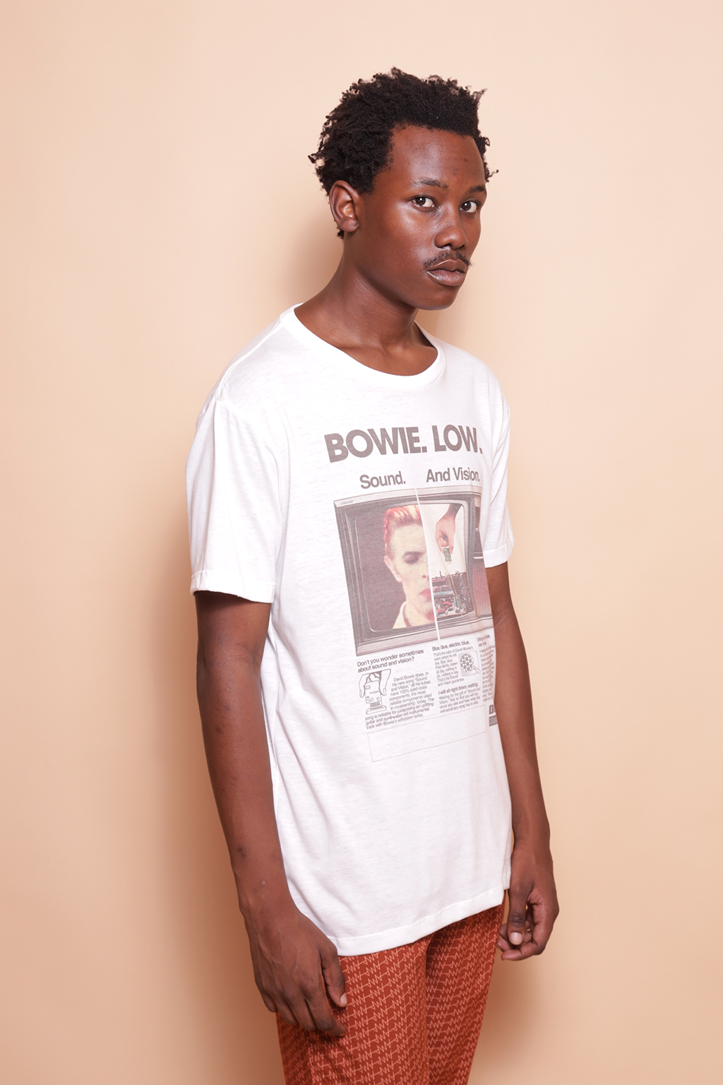 Camiseta estampada Bowie Low