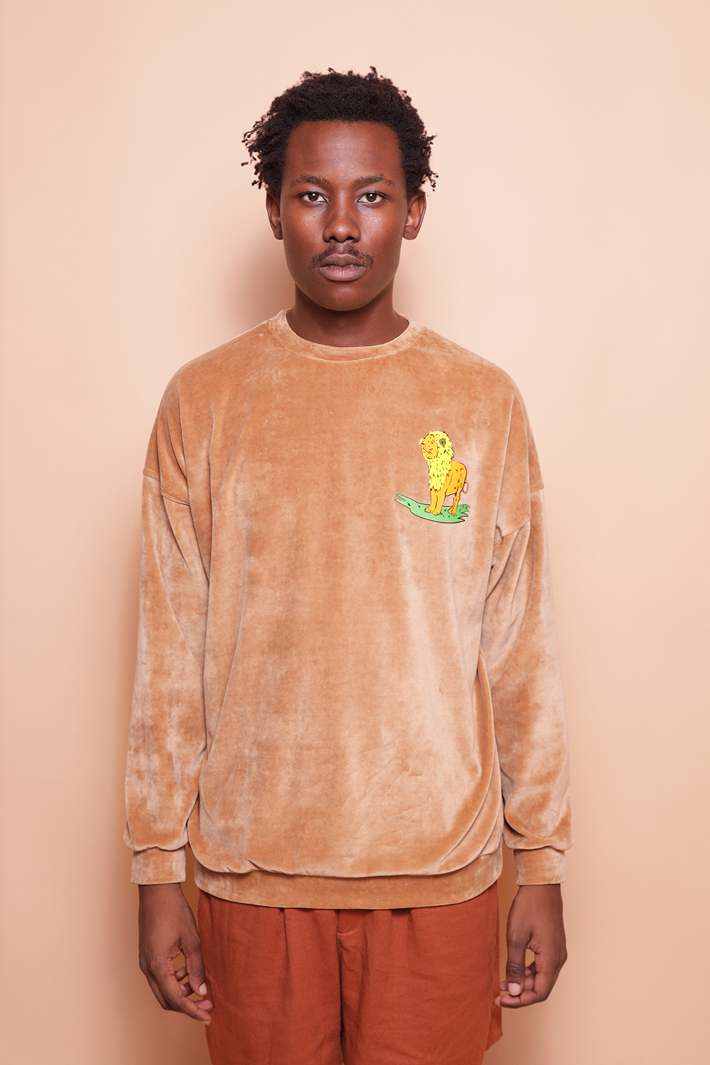 Blusão oversize plush bege estampado Leão DTF