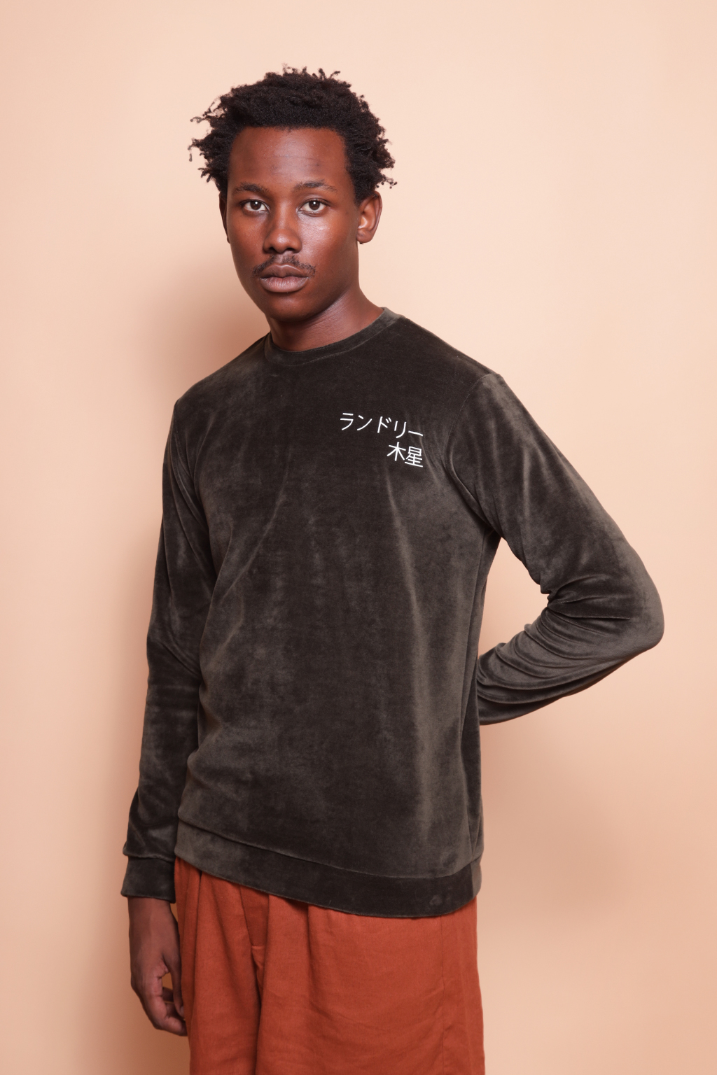 Blusão plush verde estampado Lavanderia Júpiter DTF